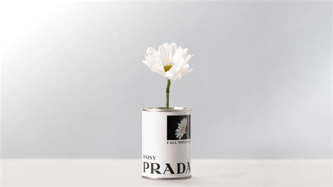 prada orlando fiori|prada flower seeds.